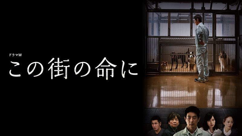 この街の命に | WOWOWオンデマンドで見る